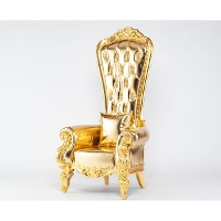 �L���O�`�F�A�@fp1001-gg